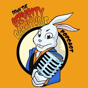 Capa do podcast de ciberseguranca: Down The Security Rabbit Hole
